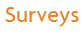 Online Surveys - Internet Surveys